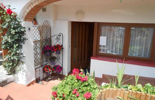 Neggio Apartamento | Appartamenti Villa Colibri