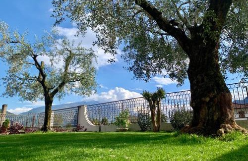 Arco Apartamento | Appartamenti Villa Sonia