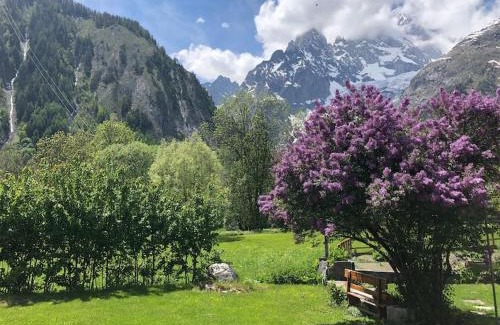 Entreves Apartamento | Appartamenti vista Monte Bianco Courmayeur-Entrèves