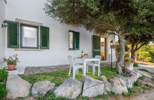Arzachena Apartamento | Appartamento Arzachena