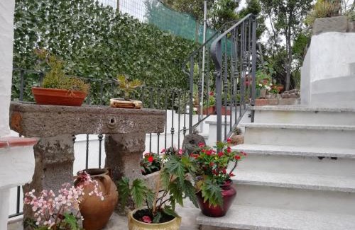 Porto Alabe Apartamento | Appartamento Bouganville