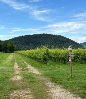 Teolo Apartamento | Appartamento casa vacanza Abano Terme Euganean Hills Holiday