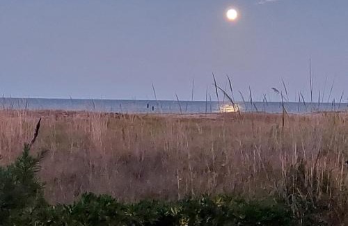 Marina di Vasto Apartamento | Appartamento fronte mare costa dei trabocchi