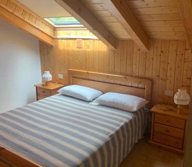 Predazzo Apartamento | Appartamento Genziana
