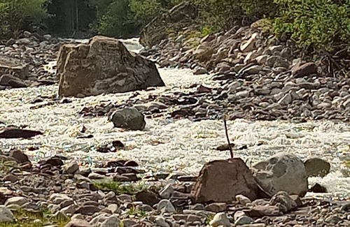 Canal San Bovo Apartamento | appartamento immerso nel verde delle dolomiti