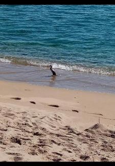 Orosei Casa | Appartamento in zona residenziale