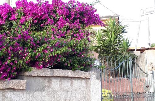 Porto Pollo Apartamento | Appartamento La casa di Milena