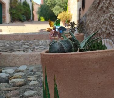Cavaion Veronese Apartamento | Appartamento La Scaletta