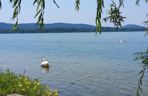 Morosolo Apartamento | Appartamento Miralago con Giardino sul Lago