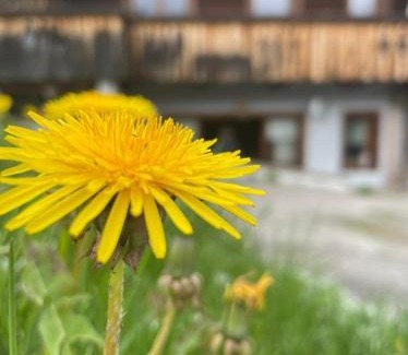 Granvilla Apartamento | Appartamento Netta'Schtol