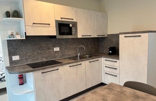 Pisogne Apartamento | Appartamento Rita