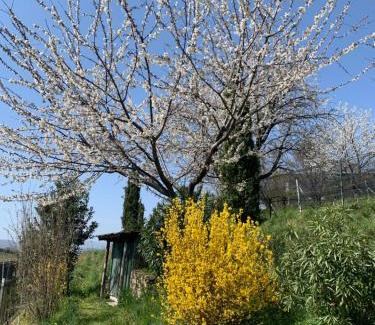 Coldrerio Apartamento | Appartamento TieMi
