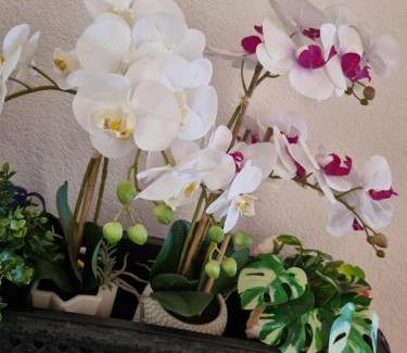 Monfalcone Apartamento | Appartamento Valentinis 74