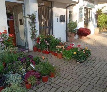 Praia a Mare Apartamento | Appartamento vicino al mare
