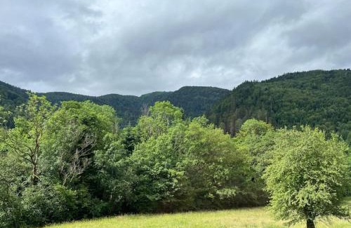 Saint-Maurice-sur-Moselle Apartamento | Appartement 5 personnes avec espace plein air