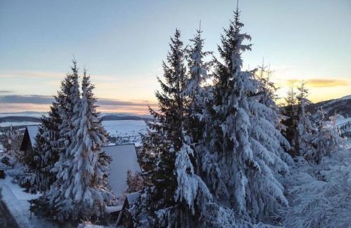 Besse-et-Saint-Anastaise Apartamento | Appartement skis aux pieds, F2+Cabine au 20ème étage - FR-1-814-25