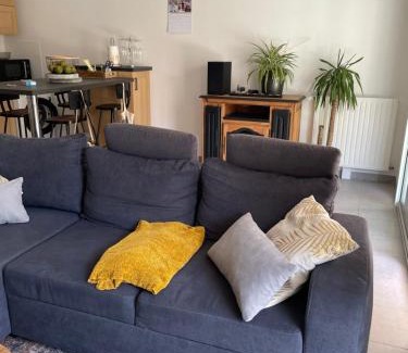 Saint-Jacques-de-la-Lande Apartamento | Appartement avec terrasse proche de Rennes