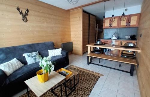 Saint-Michel-de-Chaillol Apartamento | appartement montagne- le petit Chaillol