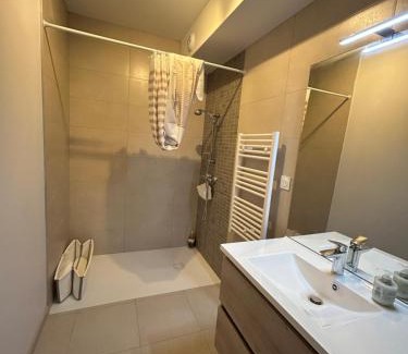 Chateauneuf-de-Galaure Apartamento | Appartement avec jardin