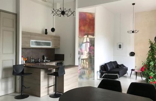 Arles City Centre Apartamento | Appartement à la Roquette, dans l'Hotel de Divonne, classé.