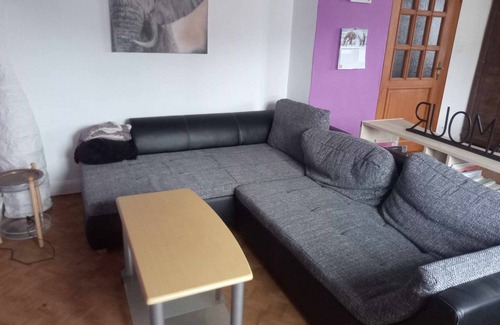 Hohrod Apartamento | Appartement 100 m2 Dans Ferme Équestre en Activité Animaux de Compagnie Acceptés