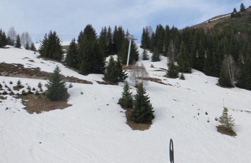 Auris Apartamento | Appartement 2 pièces cabine, 6 couchages au pied des pistes - Auris en Oisans - FR-1-297-38