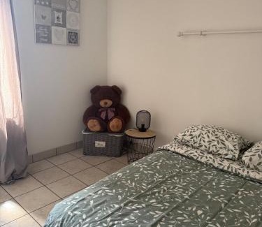 Vierzon Apartamento | Appartement 3 chambres 5 lits