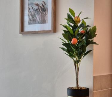 Blankenberge Apartamento | Appartement aan zee Blankenberge