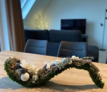 Beernem Apartamento | Appartement Anne-Rose