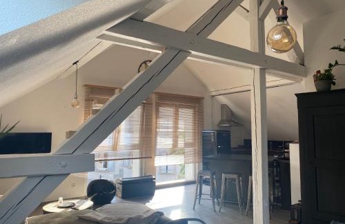 Selestat Apartamento | Appartement atypique lumineux