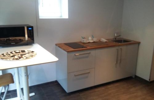 La Haie-Fouassiere Apartamento | Appartement au bord de la Sèvre Nantaise