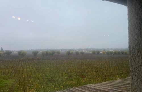 Vosne-Romanee Apartamento | Appartement au pied des Vignes
