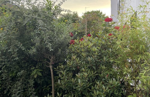 Montrouge Apartamento | Appartement Avec Jardin Plein sud Idéal Famille Jeunes Enfants