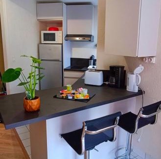 Haie Vigne Apartamento | Appartement avec jardin - Centre-ville à 10 minutes à pied