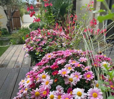 Begles Apartamento | Appartement avec jardin