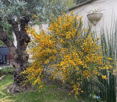 Begles Apartamento | Appartement avec jardin