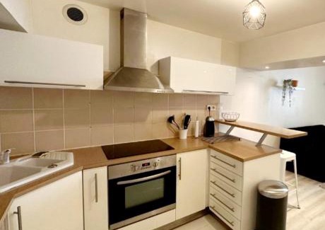 Bourgogne Apartamento | Appartement avec terrasse - Orléans - Quai de Loire