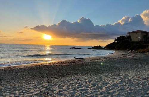 Bravone Apartamento | Appartement bord de mer T4 marina di bravonne N5-6