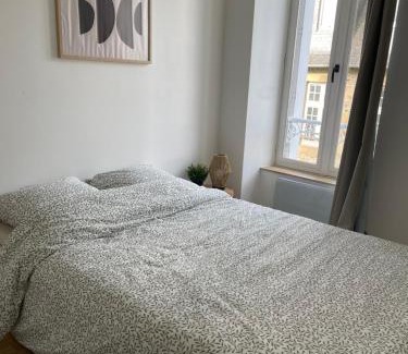 Montaubert - Rille - Saint-Sulpice Apartamento | Appartement centre ville historique