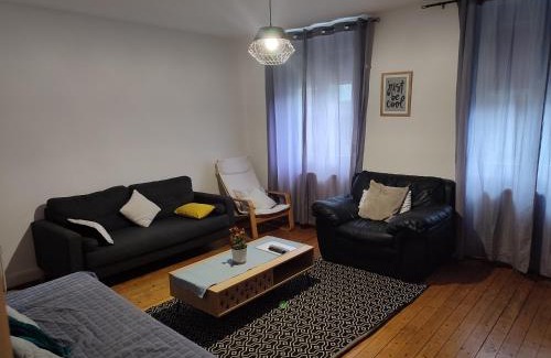 Haguenau Apartamento | Appartement chaleureux