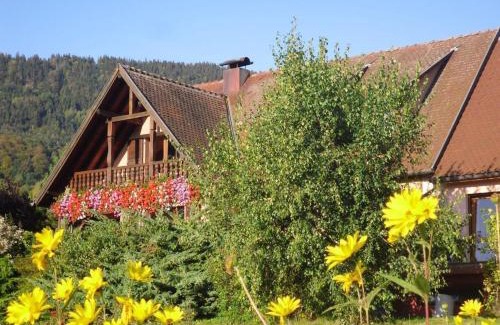Thannenkirch Apartamento | Appartement charmant à Thannenkirch avec vue montagne