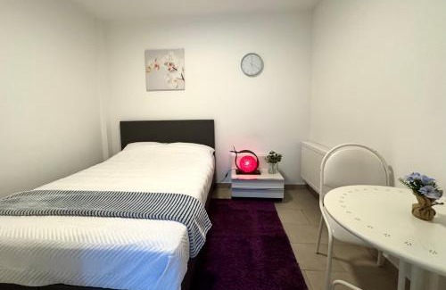 Sint-Lambrechts-Woluwe Apartamento | Appartement cosy à Bruxelles métro Vandervelde