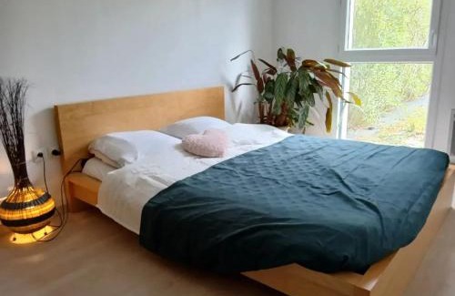 La Grace de Dieu Sud Apartamento | Appartement cosy à Caen avec terrasse et jardin