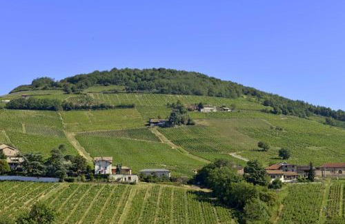 Saint-Lager Apartamento | Appartement cosy au coeur du Beaujolais