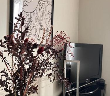 Saint-Georges-des-Groseillers Apartamento | Appartement cosy tout équipé et parking couvert privé aux portes de Flers