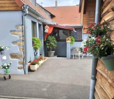 Wintzenheim Casa | Appartement cosy Wintzenheim + terrasse