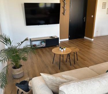 Remiremont Apartamento | Appartement de la gare