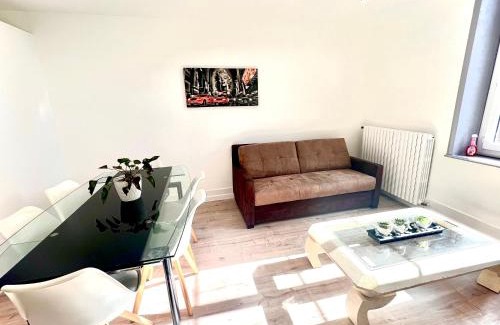 La Tour-du-Pin Apartamento | Appartement de la laverie
