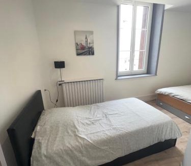 La Tour-du-Pin Apartamento | Appartement de la laverie