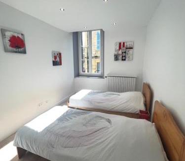 La Tour-du-Pin Apartamento | Appartement de la laverie